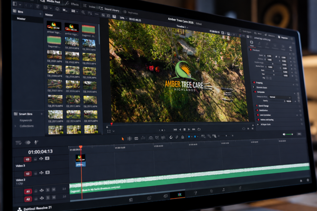 DaVinci Resolve Forest Editing Workspace.png